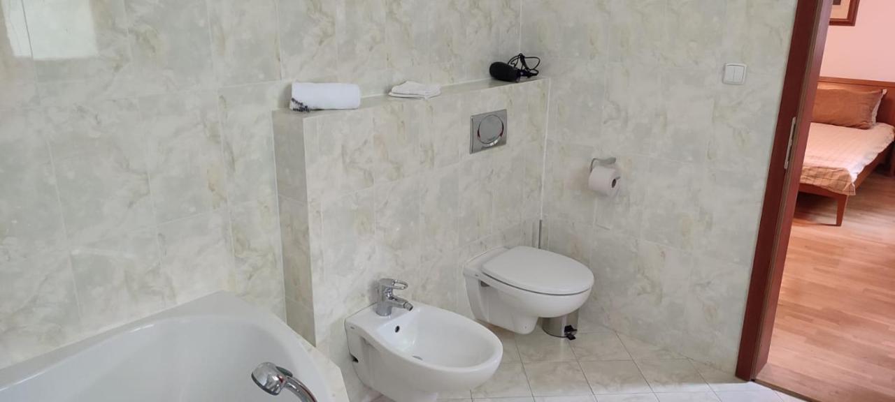 Chateau Radvanov Pension Mlada Vozice Ngoại thất bức ảnh